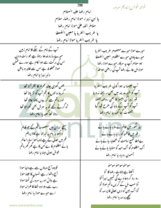 Maula Imam E Raza lyrics