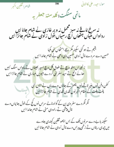 Na Surkh Naqay Na Sabz Mahmil